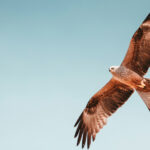 季節は私の中に降り積もる