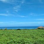 島の若者ことば講座